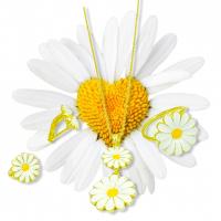 925 ayar Gümüş Tasarım altın kaplamalı papatya çiçek model trend bayan üçlü takı set